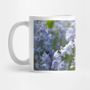 Bluebells flowering in late Spring - Yorkshire, UK Mug